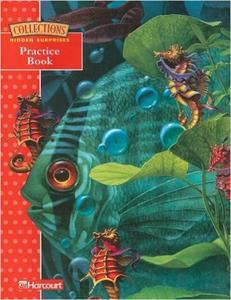 HIDDEN SURPRISES - READER - GRADE 3 LEVEL 1 PRACTICE BOOK