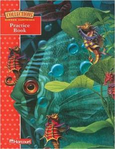 * HIDDEN SURPRISES - READER - GRADE 3 LEVEL 1 PRACTICE BOOK