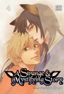* A STRANGE AND MYSTIFYING STORY: VOL 04
