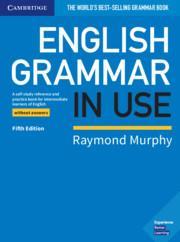 ENGLISH GRAMMAR IN USE WO/ANSWERS 5TH ED.