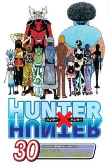 HUNTER X HUNTER: VOL 30