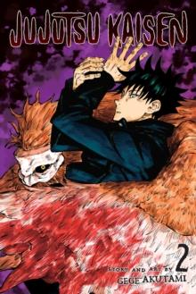 * JUJUTSU KAISEN: VOL 02