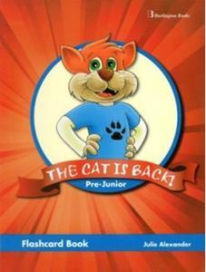 * THE CAT IS BACK! PRE-JUNIOR FLASHCARD BOOK