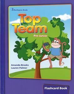 TOP TEAM PRE-JUNIOR FLASHCARDS